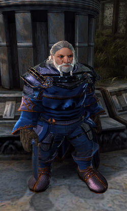 Skeld Steelhelm