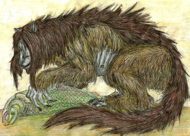 File:Bunyip 5.jpg