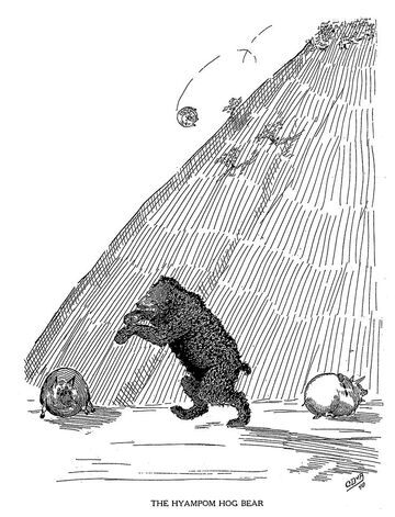 Hogbear
