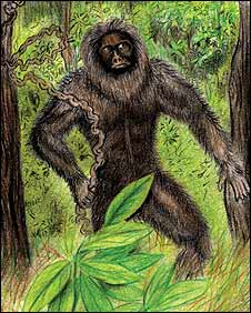 File:44752882 yeti body.jpg