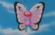Butterfree rosa..jpg
