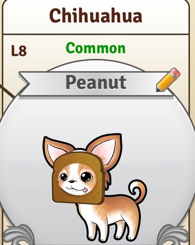 File:StarterPuppy.jpg