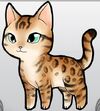 BengalOS