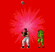 Bad Dudes