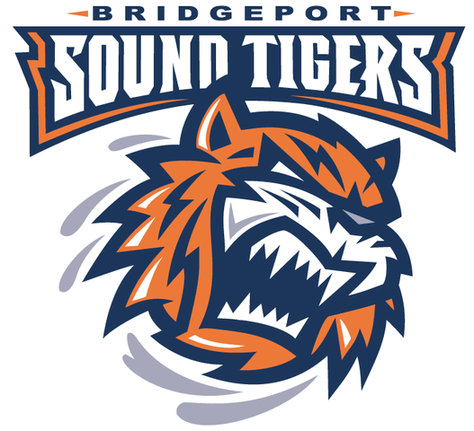 File:Ahl bridgeport.gif