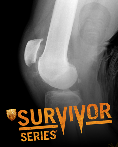 File:SURV2.png