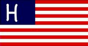 Heltlerianflag-1