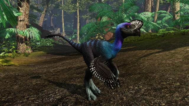 File:Oviraptor pic 1.jpg