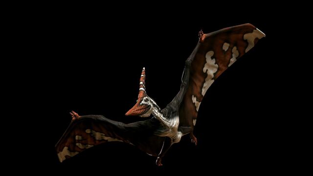 File:Autumn Red Pteranodon.jpg