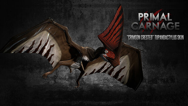 File:Crimson Crested Tupandactylus.jpg
