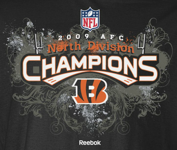 File:AFC North Champions.png