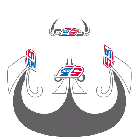 File:NFSC VinylDSLEvo2.png