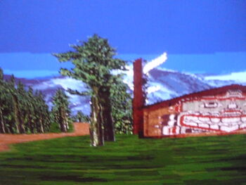 Pacific Spirit Forest 02.jpg