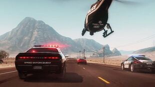 SCPD Action.jpg