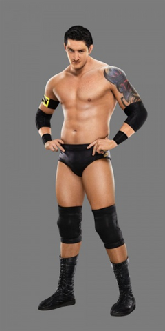 File:Wade Barrett.png