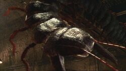 Episode1x2Arthropleura10.jpg