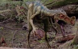 Ornitholestes