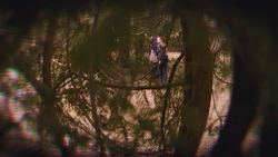 NW1x1 VisionUtahraptor.png