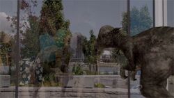 Pachycéphalosaurus.jpg