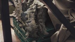 Episode3x7Dracorex67.jpg