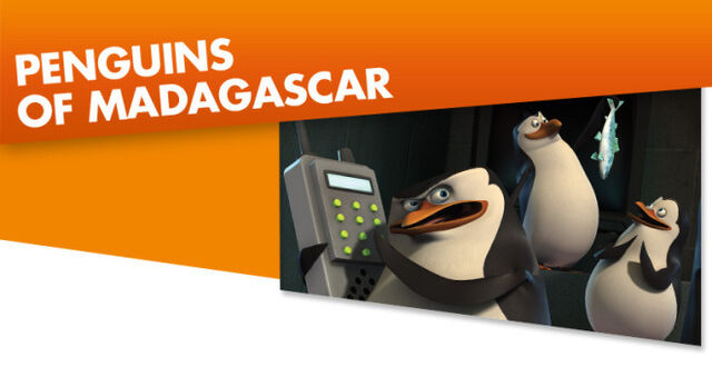Datei:Large penguinsofmadagascar.jpg