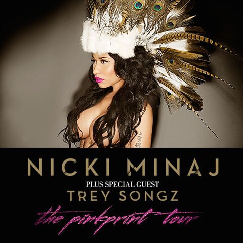 File:The PinkPrint Tour Poster.jpeg