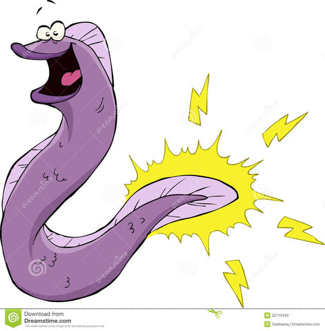 File:Electric-eel-22710443.jpg