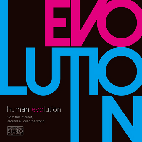 File:Human evolution.png