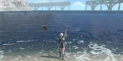 Nierfishing