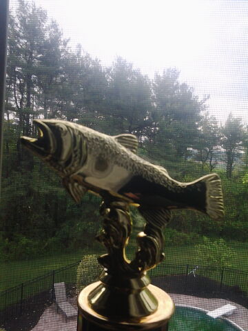 File:20130511 181232.jpg