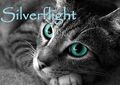 Thumbnail for version as of 18:28, December 28, 2012
