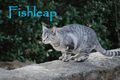 Thumbnail for version as of 21:58, December 23, 2012