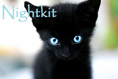 File:Nightkit.jpg