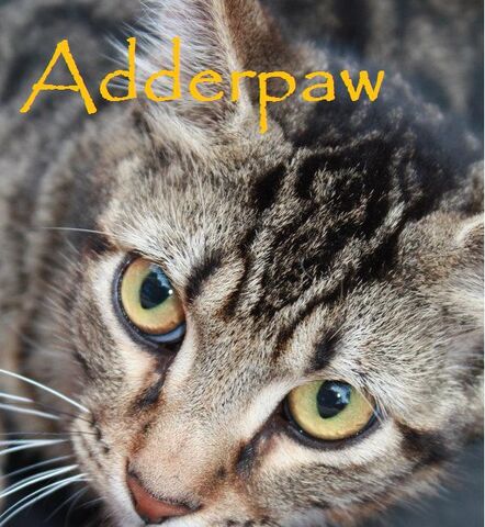 File:Adderpaw.jpg
