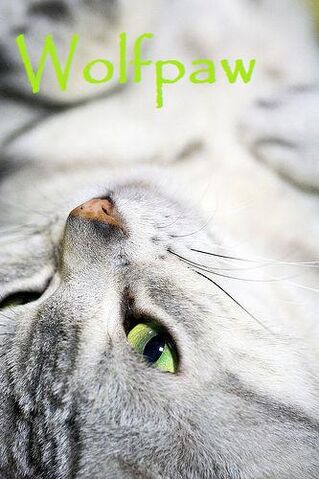 File:Wolfpaw.jpg