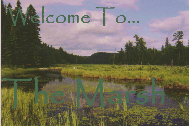 File:The Marsh.gif