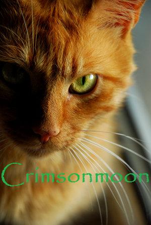 File:Crimsonmoon.jpg