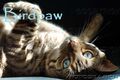 Thumbnail for version as of 18:39, December 28, 2012