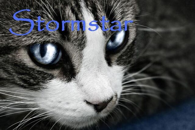 File:Stormstar.jpg