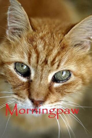 File:Morningpaw.jpg
