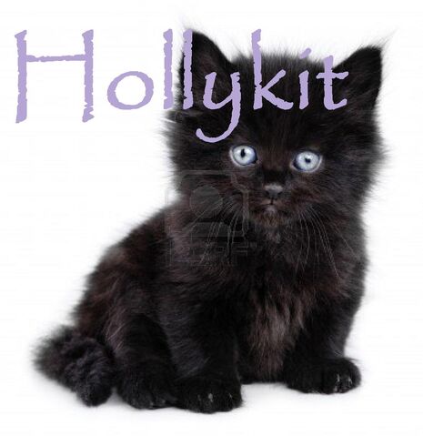 File:Hollykit.jpg