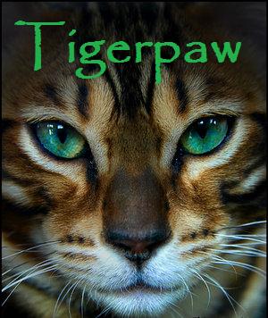File:Tigerpaw.jpg