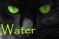 Thumbnail for version as of 17:44, December 24, 2012