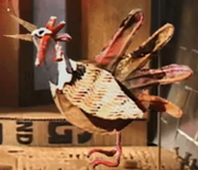 Chiken