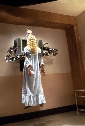 File:Freddy-3-griffes-du-ca-ii09-g.jpg