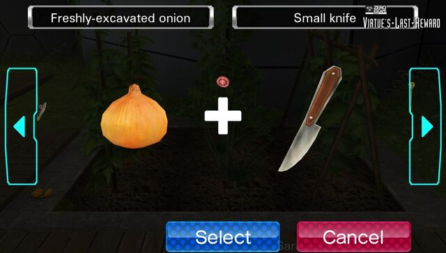 File:WhiteCoinCombination.Garden.jpg
