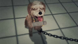 GabGame1