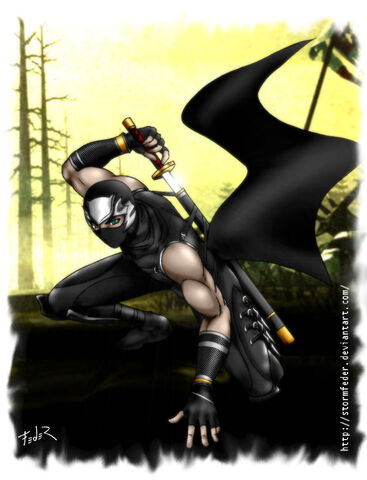 File:Hayabusa X FdR by StormFedeR.jpg
