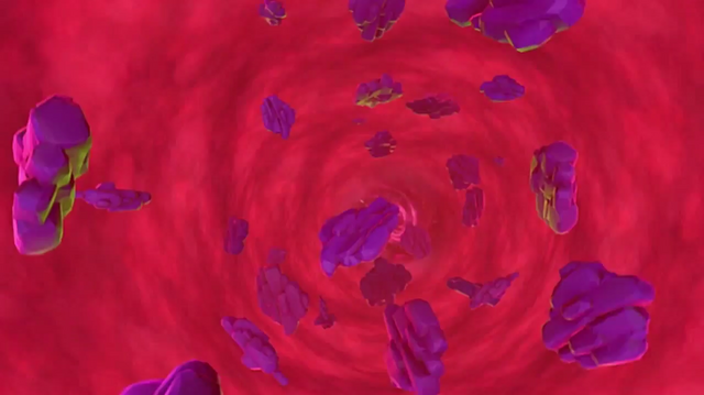 File:AlternateP.png