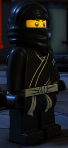 File:SecondNinja.png